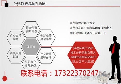 外贸客户搜索开发软件 外贸客户搜索系统定制开发 深圳外贸狼