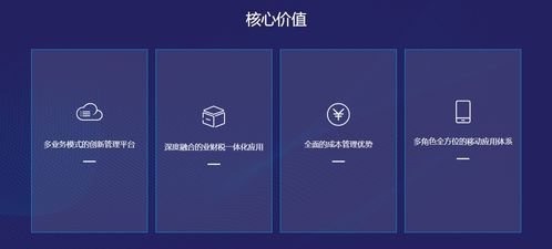 绍兴erp软件 金辉软件 企业该如何选择erp企业管理软件